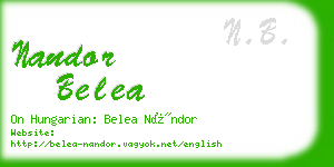 nandor belea business card